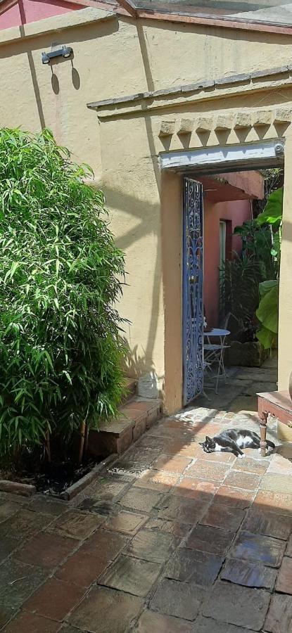 Privatunterkunft Candelaria House Boutique *